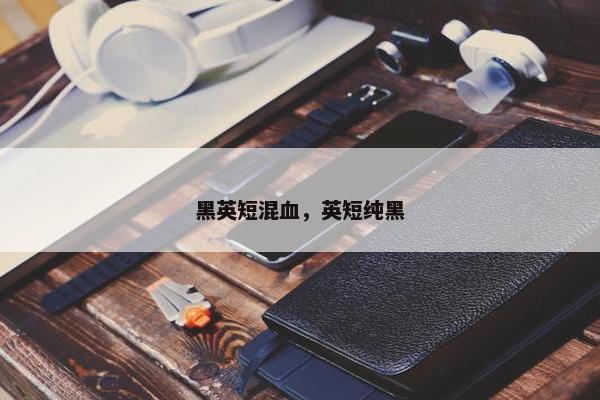 黑英短混血，英短纯黑