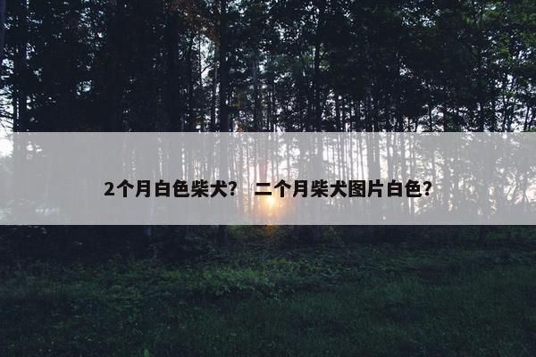 2个月白色柴犬？ 二个月柴犬图片白色？