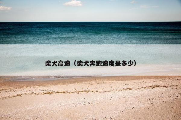 柴犬高速（柴犬奔跑速度是多少）