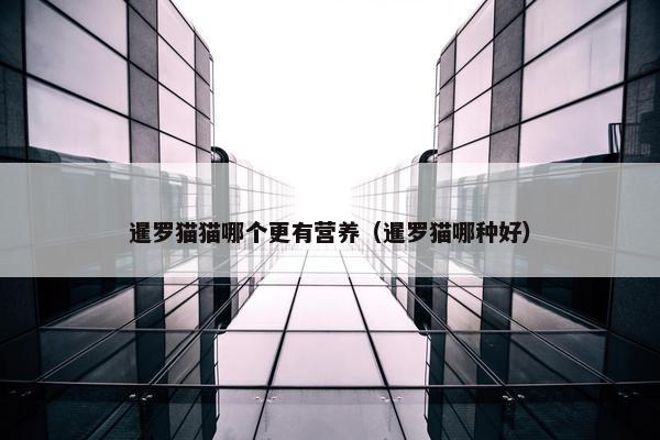 暹罗猫猫哪个更有营养（暹罗猫哪种好）