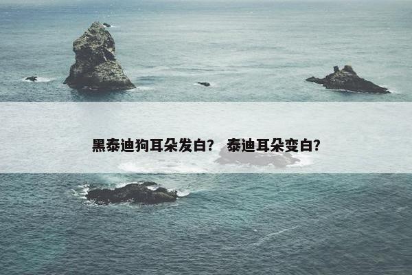 黑泰迪狗耳朵发白？ 泰迪耳朵变白？
