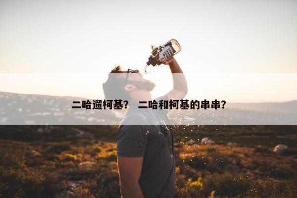二哈遛柯基？ 二哈和柯基的串串？