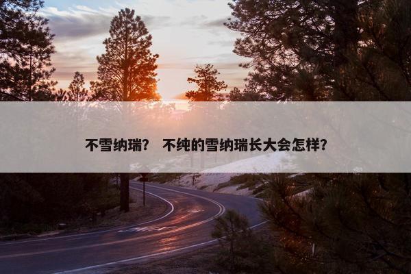 不雪纳瑞？ 不纯的雪纳瑞长大会怎样？