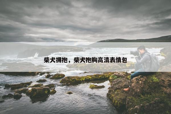 柴犬拥抱，柴犬抱胸高清表情包