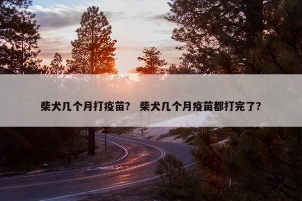 柴犬几个月打疫苗？ 柴犬几个月疫苗都打完了？