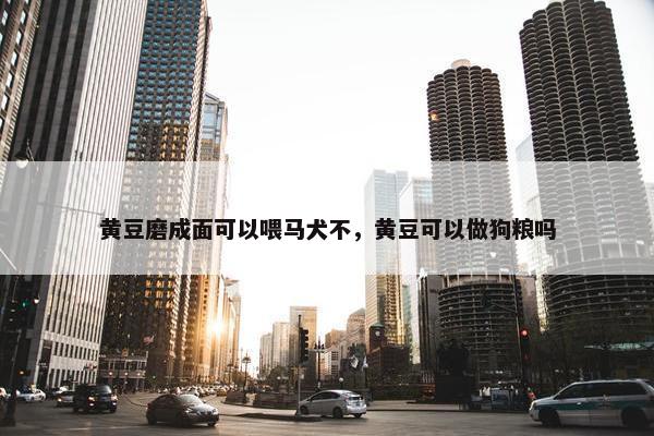 黄豆磨成面可以喂马犬不，黄豆可以做狗粮吗