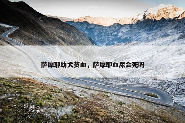 萨摩耶幼犬贫血，萨摩耶血尿会死吗