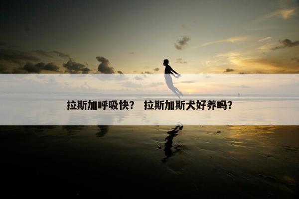 拉斯加呼吸快？ 拉斯加斯犬好养吗？