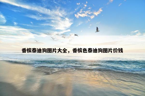 香槟泰迪狗图片大全，香槟色泰迪狗图片价钱