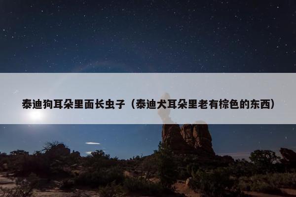 泰迪狗耳朵里面长虫子（泰迪犬耳朵里老有棕色的东西）