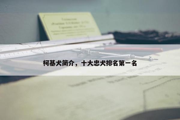 柯基犬简介，十大忠犬排名第一名