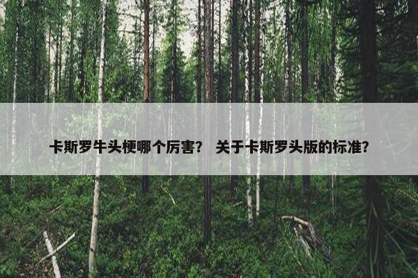 卡斯罗牛头梗哪个厉害？ 关于卡斯罗头版的标准？