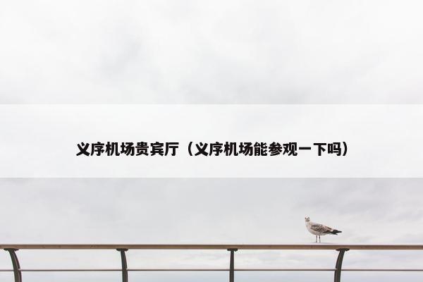 义序机场贵宾厅（义序机场能参观一下吗）