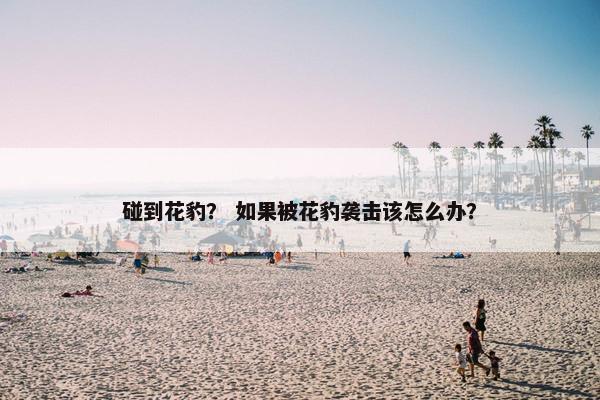 碰到花豹？ 如果被花豹袭击该怎么办？