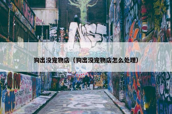 狗出没宠物店（狗出没宠物店怎么处理）