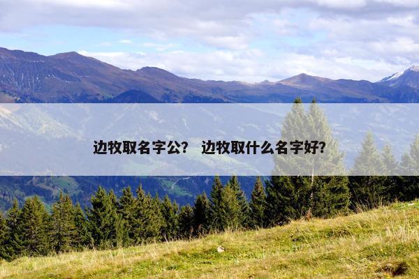 边牧取名字公？ 边牧取什么名字好？