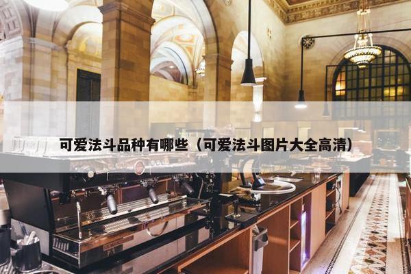可爱法斗品种有哪些（可爱法斗图片大全高清）