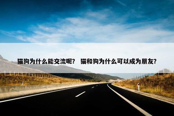 猫狗为什么能交流呢？ 猫和狗为什么可以成为朋友？
