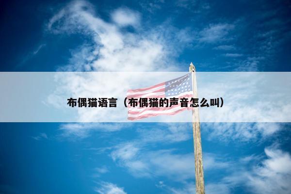 布偶猫语言（布偶猫的声音怎么叫）