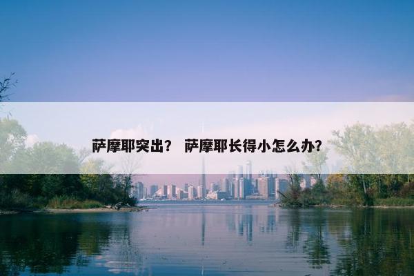 萨摩耶突出？ 萨摩耶长得小怎么办？