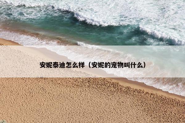 安妮泰迪怎么样（安妮的宠物叫什么）