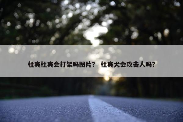 杜宾杜宾会打架吗图片？ 杜宾犬会攻击人吗？