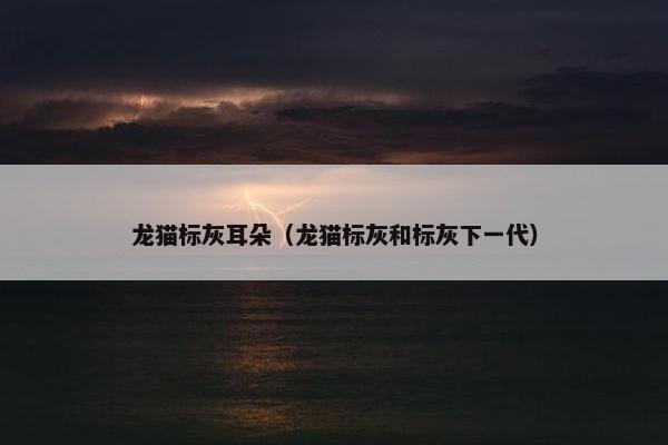 龙猫标灰耳朵（龙猫标灰和标灰下一代）