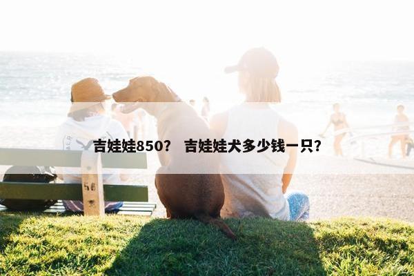 吉娃娃850？ 吉娃娃犬多少钱一只？