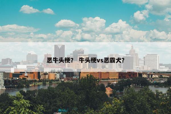 恶牛头梗？ 牛头梗vs恶霸犬？