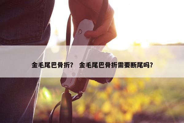 金毛尾巴骨折？ 金毛尾巴骨折需要断尾吗？