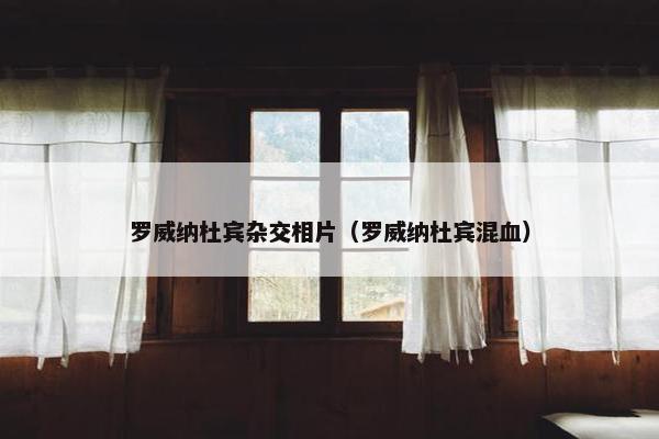 罗威纳杜宾杂交相片（罗威纳杜宾混血）