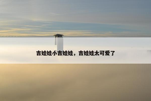 吉娃娃小吉娃娃，吉娃娃太可爱了