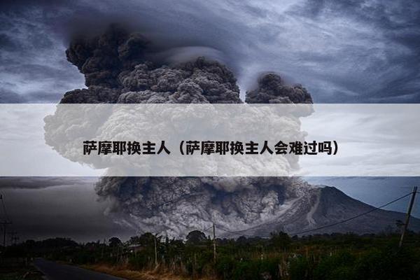 萨摩耶换主人（萨摩耶换主人会难过吗）