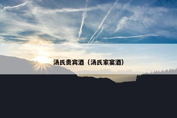 汤氏贵宾酒（汤氏家宴酒）