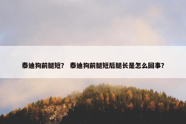 泰迪狗前腿短？ 泰迪狗前腿短后腿长是怎么回事？