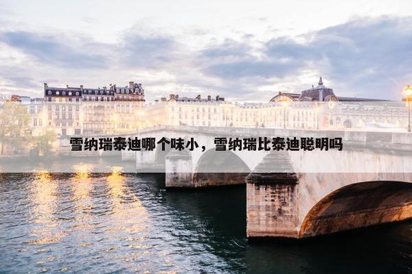 雪纳瑞泰迪哪个味小，雪纳瑞比泰迪聪明吗