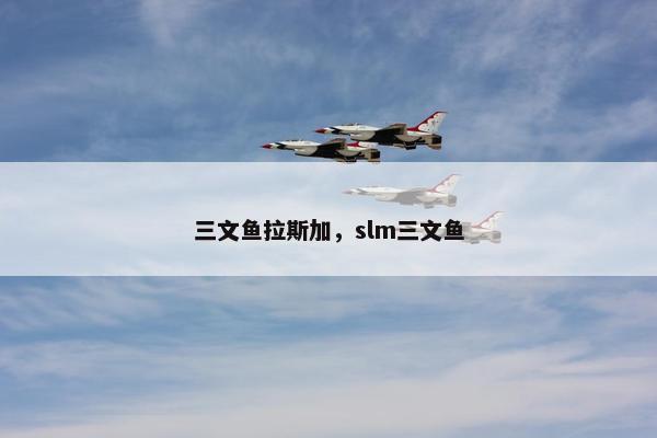 三文鱼拉斯加，slm三文鱼