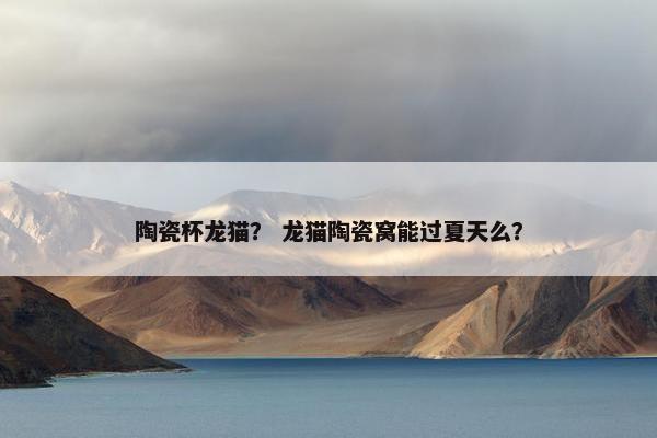 陶瓷杯龙猫？ 龙猫陶瓷窝能过夏天么？