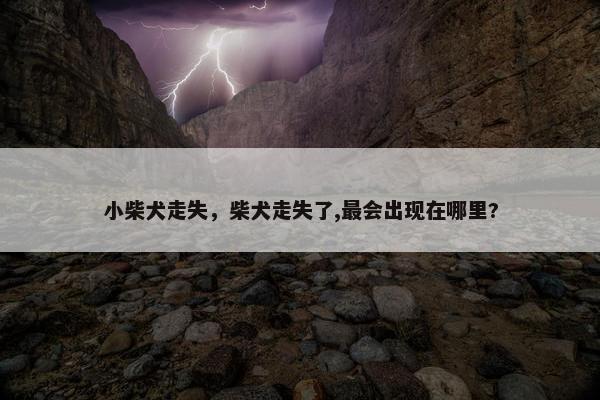 小柴犬走失，柴犬走失了,最会出现在哪里?