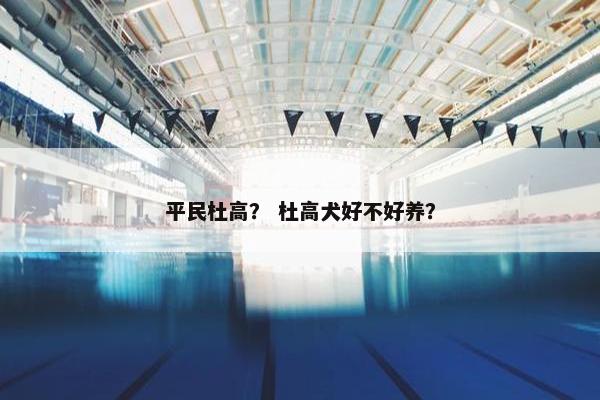 平民杜高？ 杜高犬好不好养？