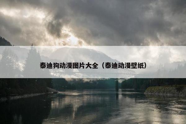 泰迪狗动漫图片大全（泰迪动漫壁纸）
