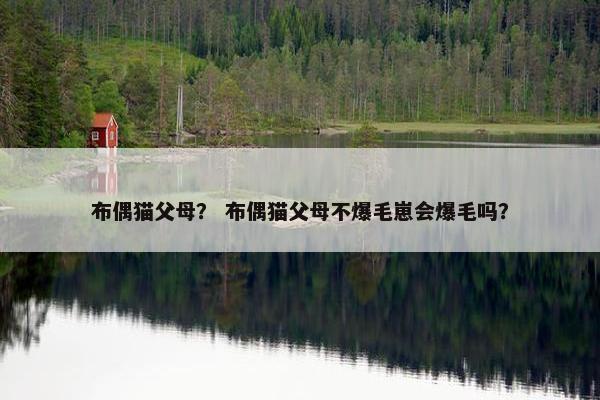 布偶猫父母？ 布偶猫父母不爆毛崽会爆毛吗？