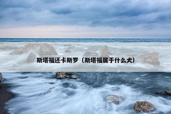 斯塔福还卡斯罗（斯塔福属于什么犬）