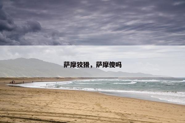 萨摩狡猾，萨摩傻吗