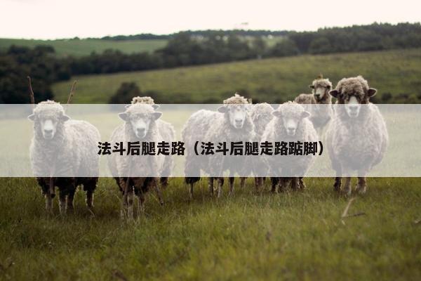 法斗后腿走路（法斗后腿走路踮脚）