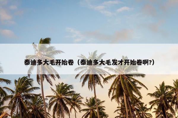 泰迪多大毛开始卷（泰迪多大毛发才开始卷啊?）