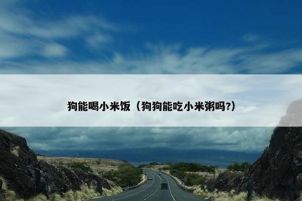 狗能喝小米饭（狗狗能吃小米粥吗?）