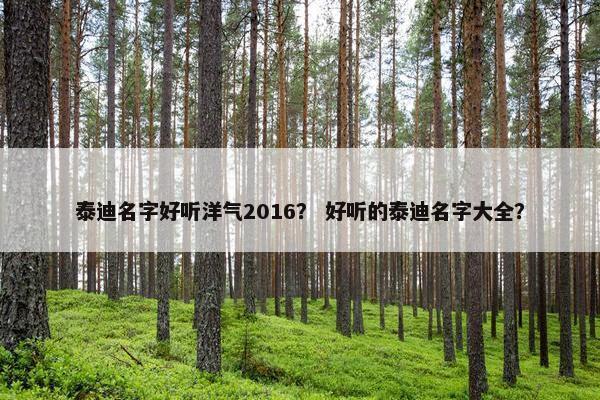 泰迪名字好听洋气2016？ 好听的泰迪名字大全？