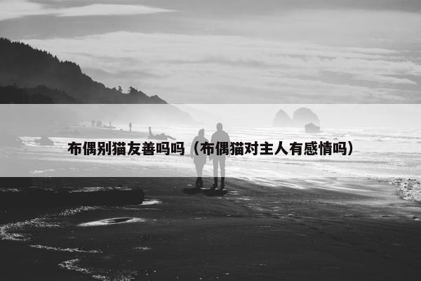 布偶别猫友善吗吗（布偶猫对主人有感情吗）