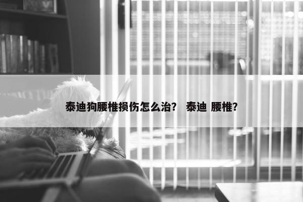 泰迪狗腰椎损伤怎么治？ 泰迪 腰椎？
